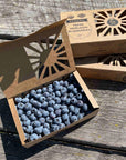 Bow Hill Organic Blueberries