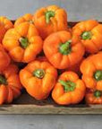 Regino Farm Organic Bell Peppers