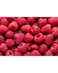 Regino’s Farm Organic Raspberries
