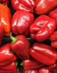 Regino Farm Organic Bell Peppers