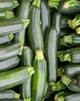 Pure Nelida Farms Organic Zucchini