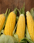 Sidhu Organic Sweet Corn