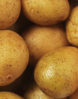 Olsen Farms Potatoes