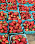 A Fruitful Company Organic Strawberries