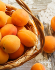 Collins Family Orchards Organic Robada Apricots