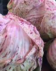 The Crows Farm Organic Castelfranco Radicchio