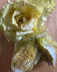 The Crows Farm Organic Castelfranco Radicchio