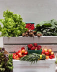 Produce Bag, Medium
