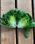 Spring Time Farm Little Red Gem Lettuce