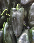 Hedlin Farm Organic Poblano Peppers