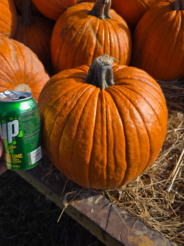 Sidhu Farms Pumkins!
