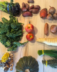 Local Yokels/Fresh Bucks CSA