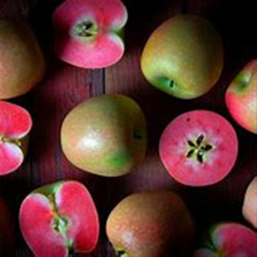 Bellewood Farms Mountain Rose Apples