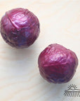 Boldly Grown Organic Purple Cabbage