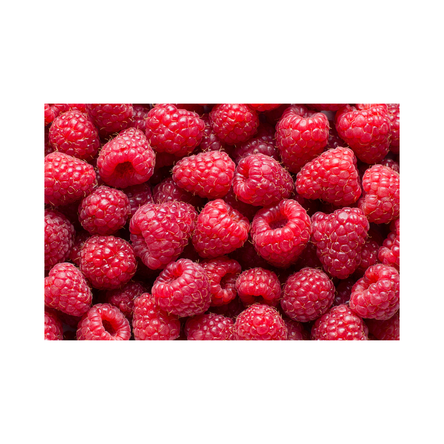 Sidhu Farms Organic Raspberries