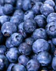 Bow Hill Organic Blueberries
