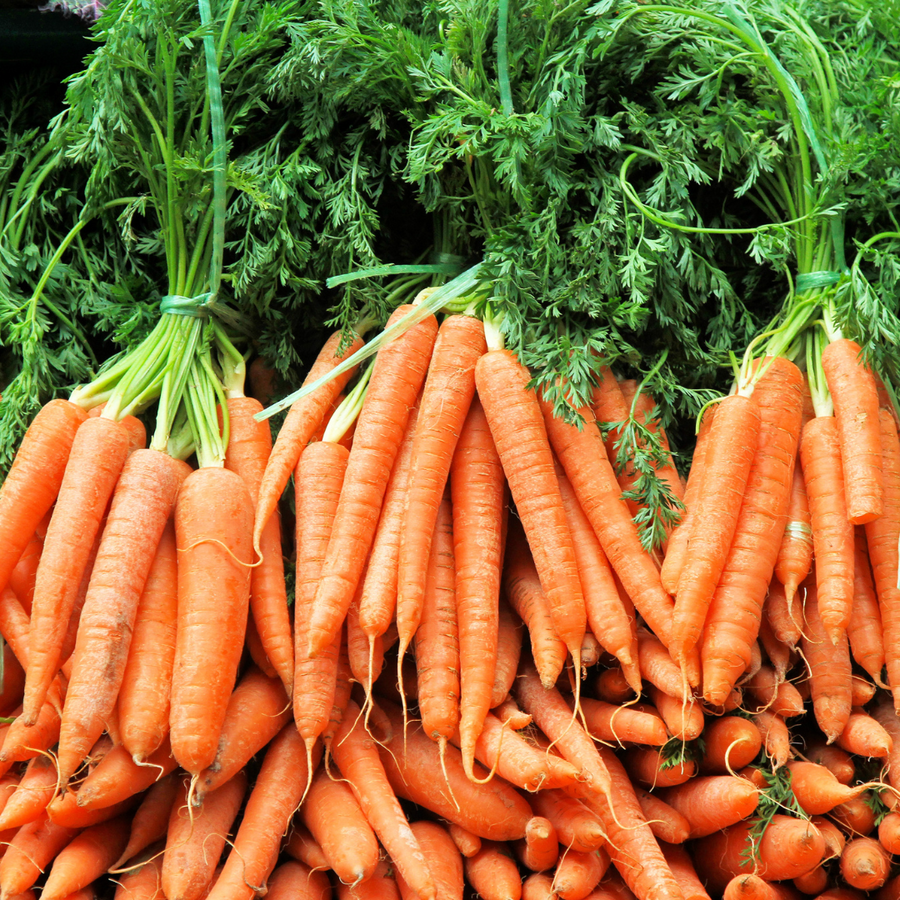 Regino Farms Organic Carrots