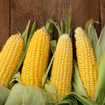 Sidhu Organic Sweet Corn