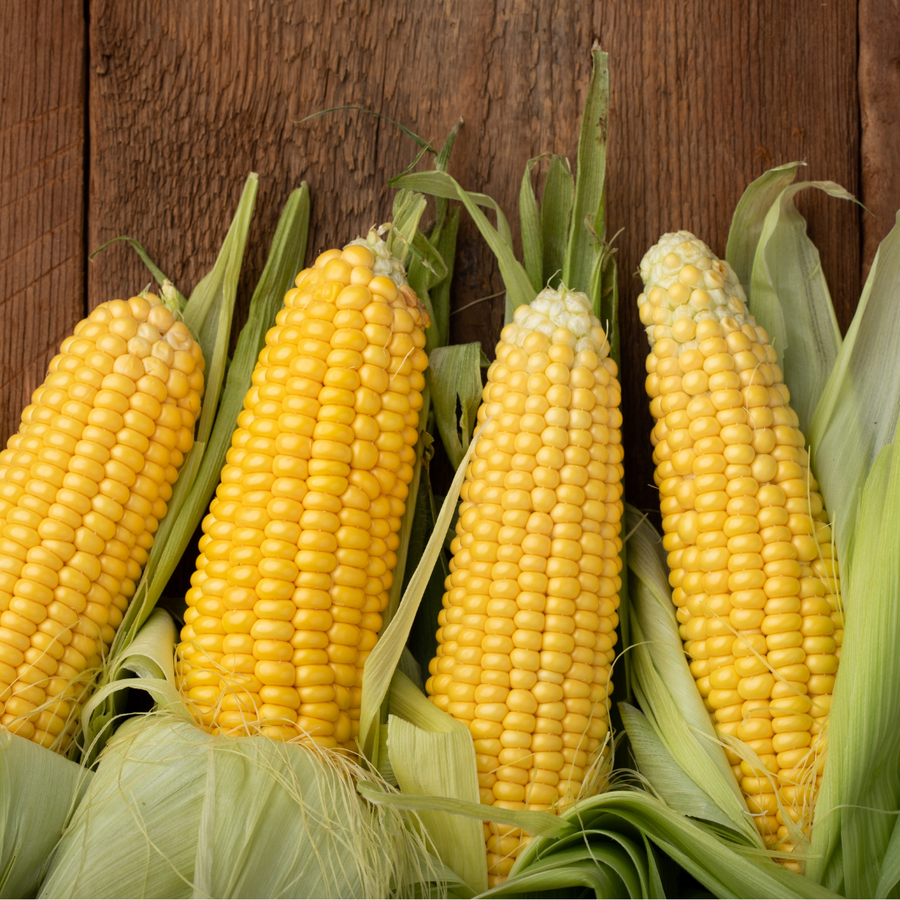 Sidhu Organic Sweet Corn