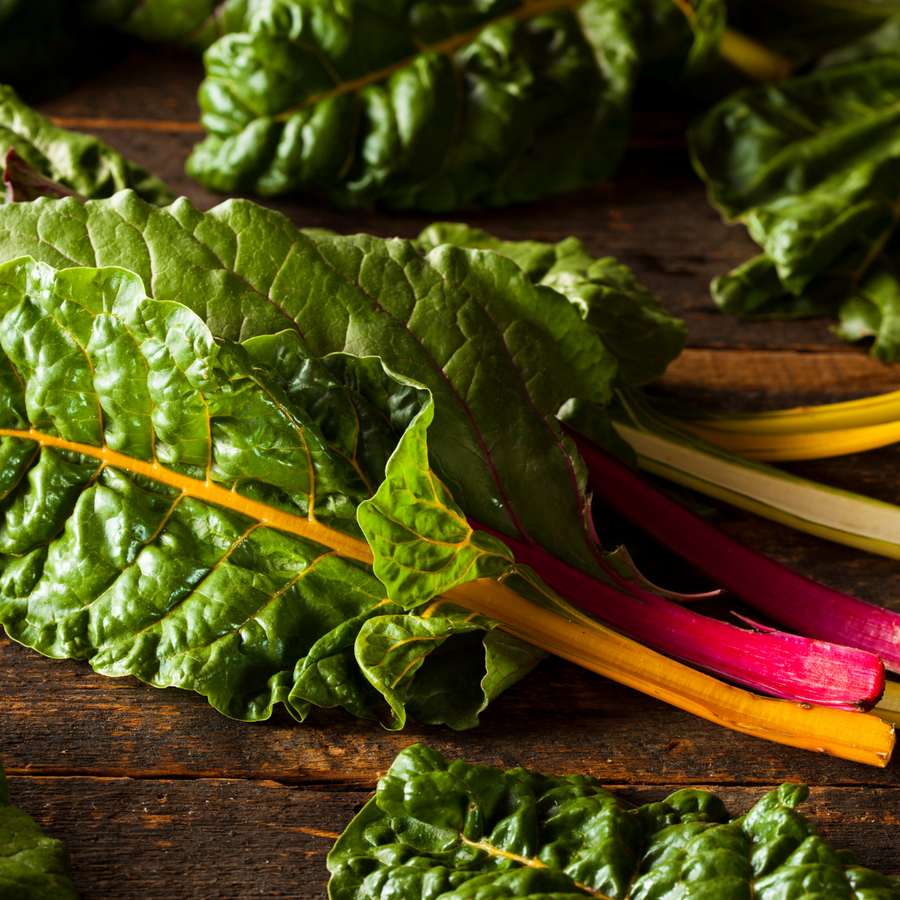 Four Elements Organic Rainbow Chard