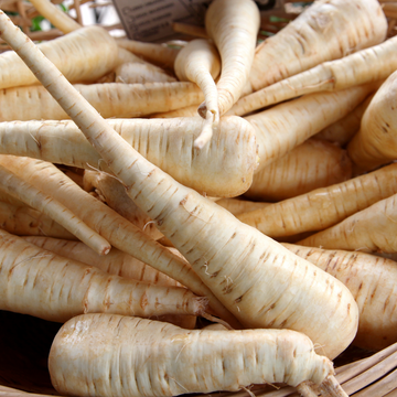 Ralph's Greenhouse Organic Parsnips