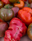 Hedlin Farm Organic Heirloom Tomatoes