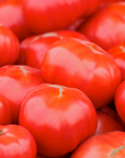 Aash Farm Organic Round Tomatoes