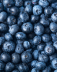 Sidhu Farms Organic Fresh Blueberries