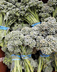 Griffin Creek Baby Broccoli