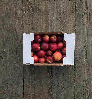 Collins Family Orchards Organic Cosmic Crisp Apples
