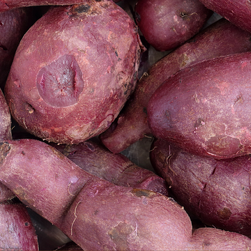 Olsen Farms Organic Viking Purple Potatoes