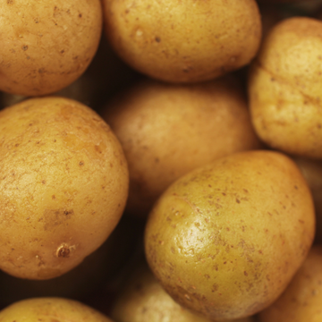 Olsen Farms Organic Yukon Gold Potatoes