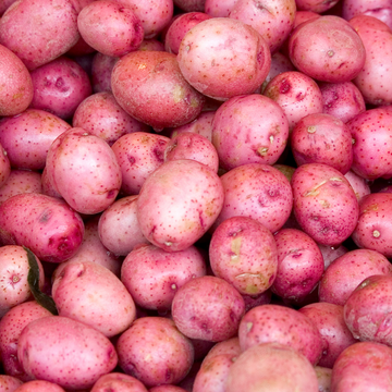 First Cut Farm Organic Red Potatoes