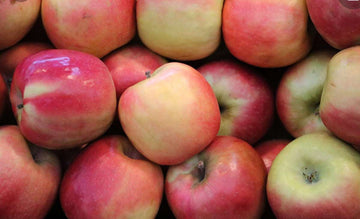 Collins Family Orchards Organic Pink Lady Apples
